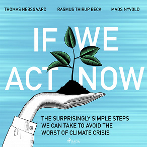 Cover for If We Act Now - the surprisingly simple steps we can take to avoid the worst of climate crisis
