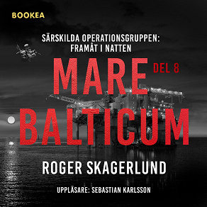 Omslagsbild för Mare Balticum VIII: Framåt i natten