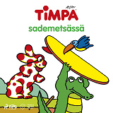 Omslagsbild för Timpa sademetsässä