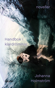 Cover for Handbok i klardrömmar