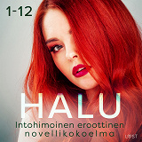 Cover for Halu 1-12: Intohimoinen eroottinen novellikokoelma