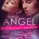 Cover for Angel 3: Väninnor emellan - Erotisk novell