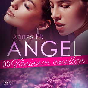 Omslagsbild för Angel 3: Väninnor emellan - Erotisk novell
