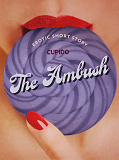 Cover for The Ambush - Erotic Short Story