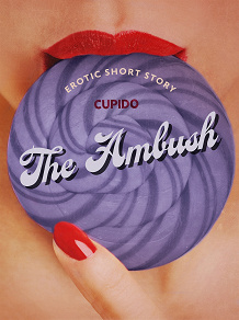 Omslagsbild för The Ambush - Erotic Short Story