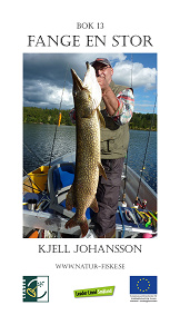 Cover for Fange en stor