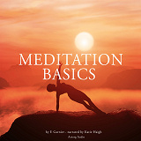 Cover for Meditation Basics