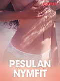 Omslagsbild för Pesulan nymfit – eroottinen novelli