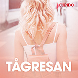 Cover for Tågresan - erotiska noveller