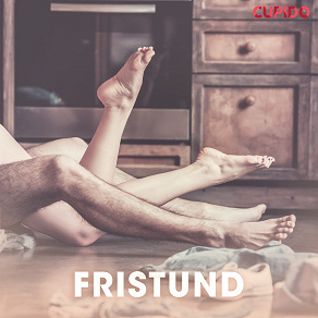 Omslagsbild för Fristund – erotiske noveller