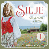 Cover for Kärlekens vägval