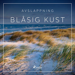 Cover for Avslappning - Blåsig kust