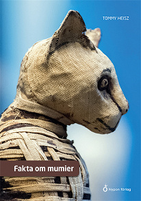 Omslagsbild för Fakta om mumier