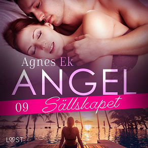 Omslagsbild för Angel 9: Sällskapet - Erotisk novell