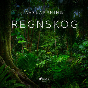 Cover for Avslappning - Regnskog