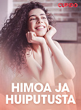 Omslagsbild för Himoa ja huiputusta – eroottinen novelli