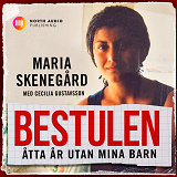 Omslagsbild för Bestulen - 8 år utan mina barn