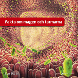 Cover for Fakta om magen och tarmarna
