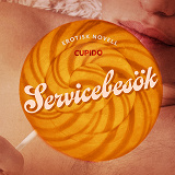 Cover for Servicebesök - erotisk novell