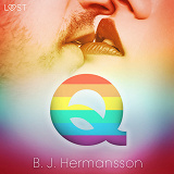Cover for Q – eroottinen novelli