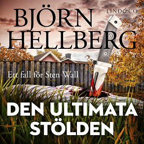 Cover for Den ultimata stölden 