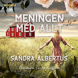 Cover for Meningen med allt
