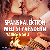 Cover for Spanskalektion med styvfadern - erotisk novell