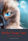 Cover for Annika's Storage Space: Thirteen Sinister Stories
