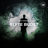 Cover for Elfte budet