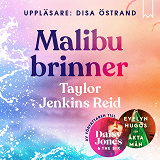 Bokomslag för Malibu brinner