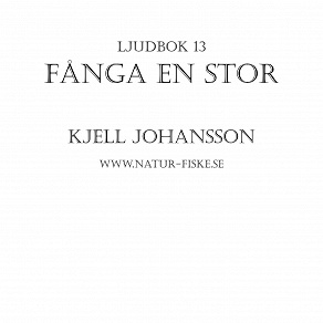 Cover for Fånga en Stor