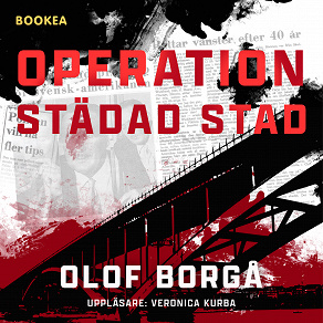 Omslagsbild för Operation städad stad