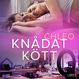 Cover for Knådat kött - erotisk novell