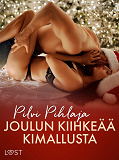 Cover for Joulun kiihkeää kimallusta – eroottinen novelli
