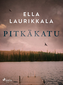Cover for Pitkäkatu