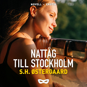 Omslagsbild för Nattåg till Stockholm