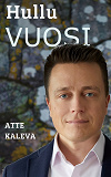 Cover for Hullu vuosi: Teesejä paremman Suomen rakentamiseen