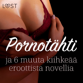 Omslagsbild för Pornotähti ja 6 muuta kiihkeää eroottista novellia