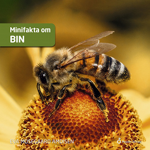 Omslagsbild för Minifakta om bin