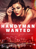 Omslagsbild för Handyman Wanted - 20 Sexy Erotic Short Stories