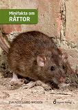 Omslagsbild för Minifakta om råttor