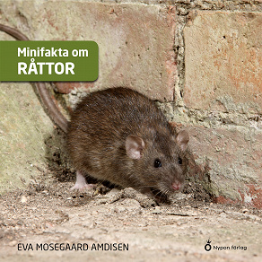 Omslagsbild för Minifakta om råttor