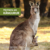 Cover for Minifakta om kängurur