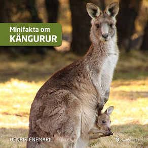 Omslagsbild för Minifakta om kängurur