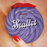 Cover for Stallet - erotiska noveller
