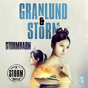 Cover for Stormbarn
