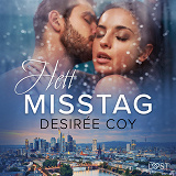 Cover for Hett misstag - erotisk novell