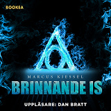 Cover for Brinnande is