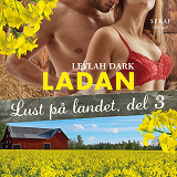 Omslagsbild för Lust på landet 3: Ladan