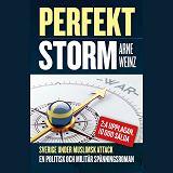 Omslagsbild för Perfekt storm